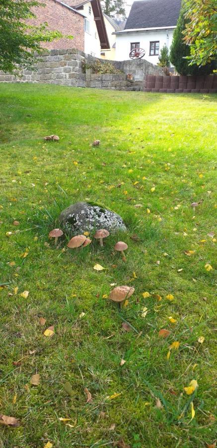 rekreační dům Pohoda Jiretin pod Jedlovou Exterior foto
